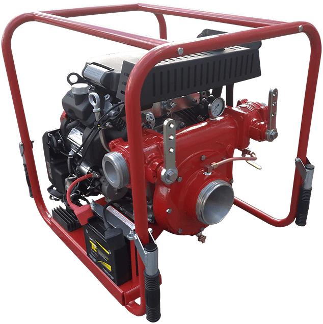 CET 20 HP High Volume Skid Frame Pump - 2 Delivery Outlets