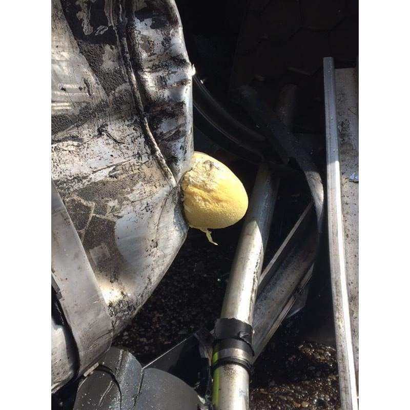 Syntho-Plug Football Activated Foam Leak Plug - Image 4