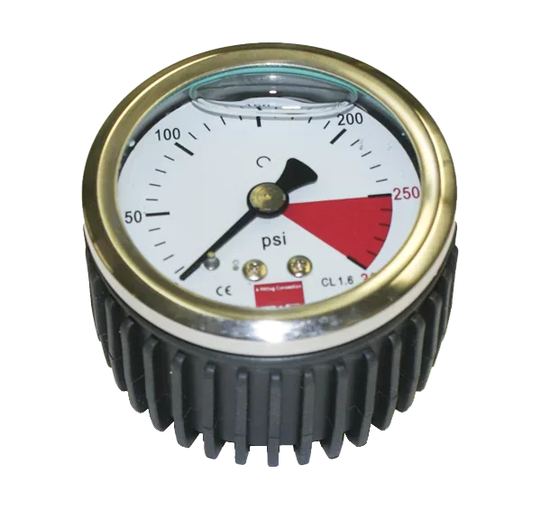 Pressure Gauge